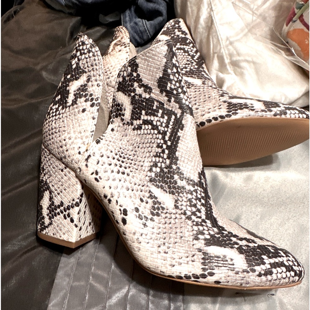 Steve Madden Snakeskin